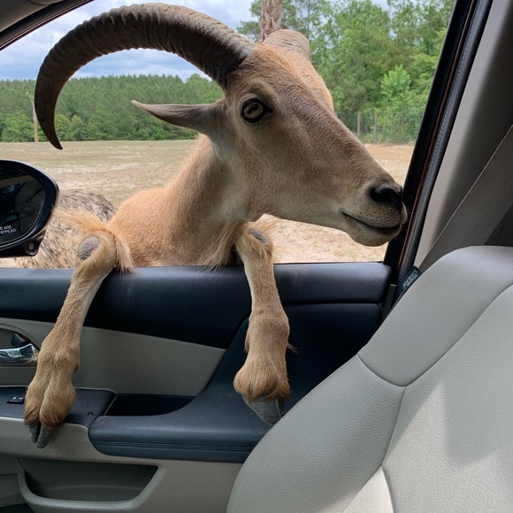 Meet your Posher, Joe - Picture 1 of 1